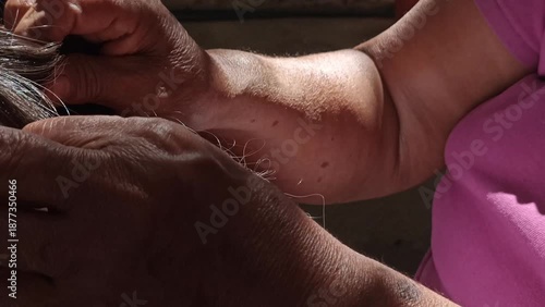 Mother Checking Daughter's Hair for Head Lice and Removing Nits Manually