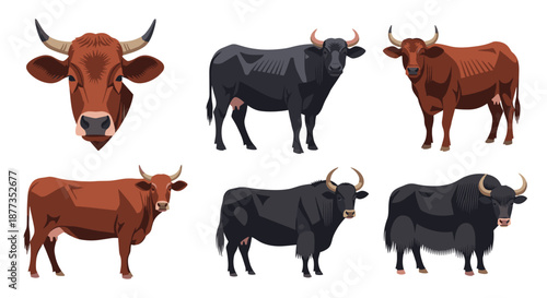 Set of various cattle breeds, including a brown cow head, black fighting bull, and a furry yak, in a realistic vector style.