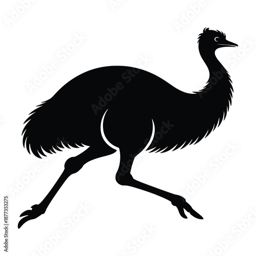 Emu running with legs extended Vector, Silhouette, Illustration