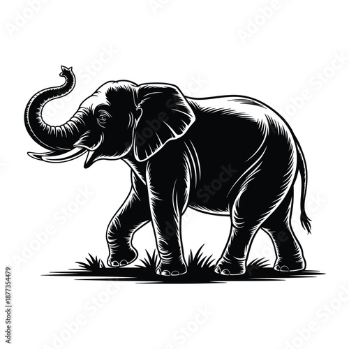 black and white illustration of an elephant walking on grass
