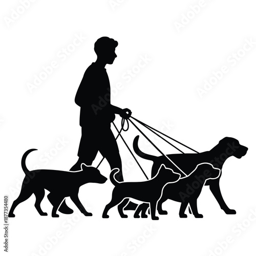 man walking three dogs on leashes in silhouette