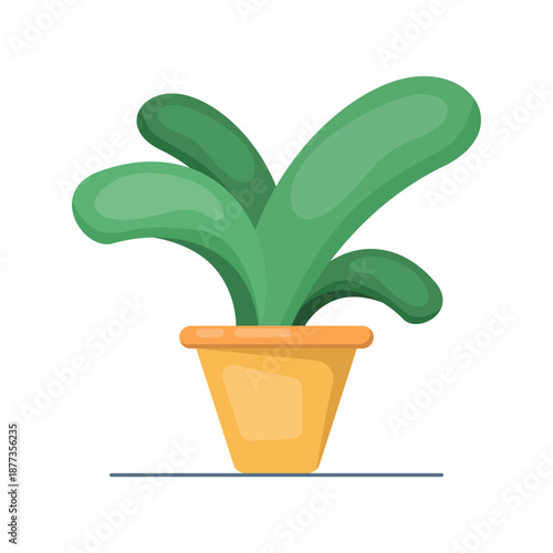 Ornamental plants placed in cute decorative pots, suitable for home decor, interior design, indoor gardening, and aesthetic lifestyle concepts.