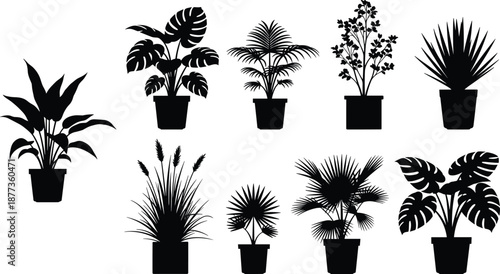 Indoor potted plant silhouettes set featuring tropical houseplants and foliage, modern black vector collection for interior decor, botanical design and nature themed projects
