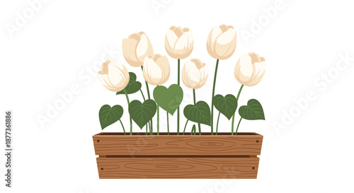 Simple and elegant wooden planter box filled with beautiful white tulips and heart-shaped green leaves against a clean white background.