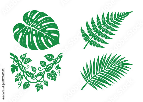 Illustration of various green tropical leaves, including monstera, fern, vine, and palm foliage designs.