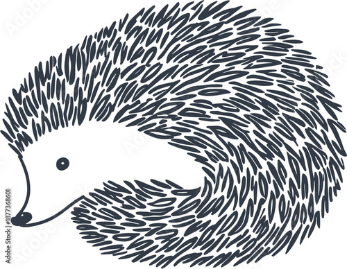 A stylized hand-drawn illustration of a hedgehog curled up, showcasing its spiky texture and simple, elegant form.