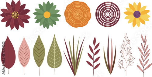 Botanical vector illustration set, stylized flower and leaf icons, colorful nature elements, decorative plant graphics, artistic foliage design bundle