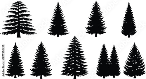 Coniferous tree silhouette vector set, black pine shapes, forest illustration bundle, evergreen tree icons, botanical design elements, nature graphic collection