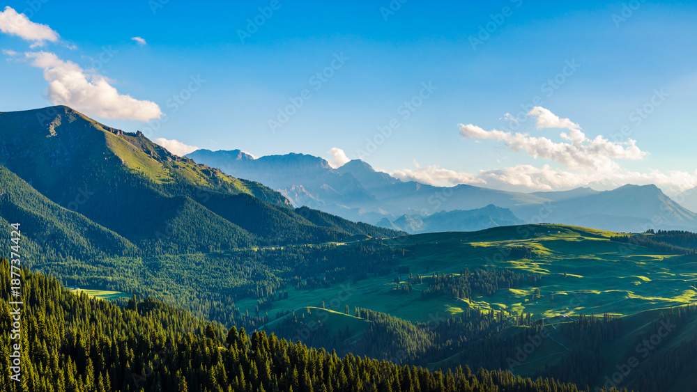 custom made wallpaper toronto digitalGreen grasslands and forest with mountain natural landscapes in summer. Beautiful pasture scenery in Xinjiang.