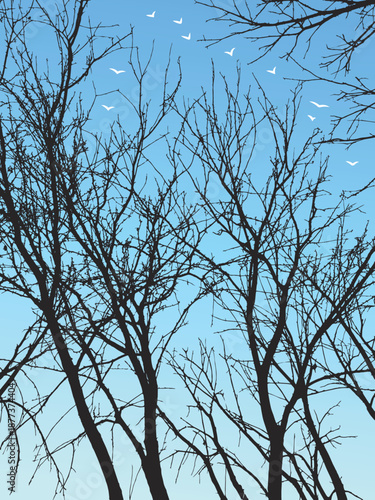 Spring has come. The trees are bare, the birds have returned. Vector illustration.