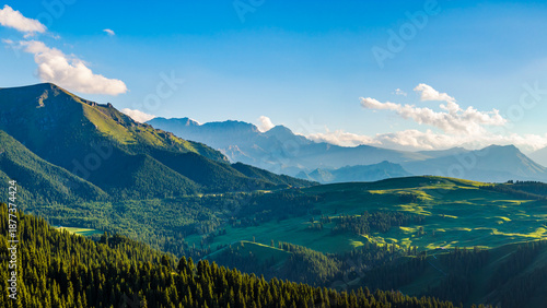 Wallpaper Mural Green grasslands and forest with mountain natural landscapes in summer. Beautiful pasture scenery in Xinjiang. Torontodigital.ca
