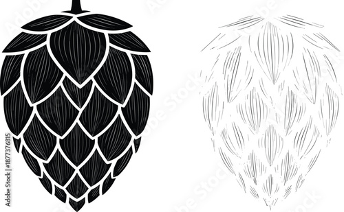 Hop cone illustration set, black and white botanical engraving, craft beer brewing ingredient, vintage hand drawn texture, isolated vector design