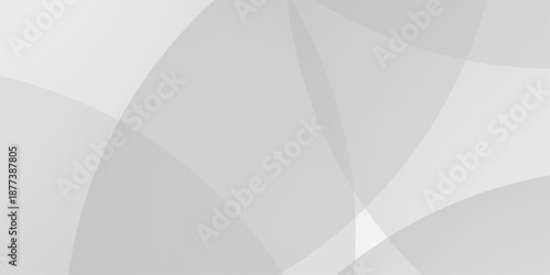 Abstract background with white and gray abstract geometric background with soft light white paper circles in design . Digital technology wallpaper used in the corporate in design.