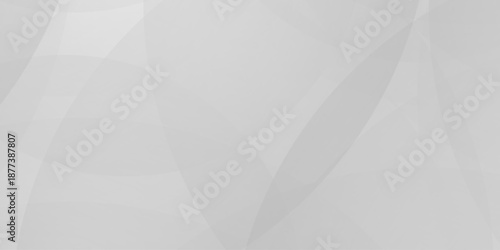 Abstract background with white and gray abstract geometric background with soft light white paper circles in design . Digital technology wallpaper used in the corporate in design.