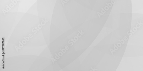 Abstract background with white and gray abstract geometric background with soft light white paper circles in design . Digital technology wallpaper used in the corporate in design.