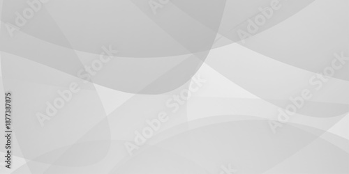 Abstract background with white and gray abstract geometric background with soft light white paper circles in design . Digital technology wallpaper used in the corporate in design.