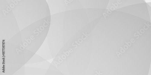 Abstract background with white and gray abstract geometric background with soft light white paper circles in design . Digital technology wallpaper used in the corporate in design.