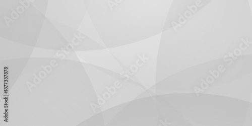 Abstract background with white and gray abstract geometric background with soft light white paper circles in design . Digital technology wallpaper used in the corporate in design.