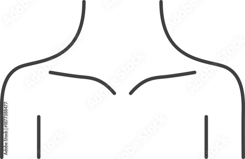 Clean minimalist vector line icon illustrating the human upper body, neck, and prominent collarbones, ideal for anatomical diagrams or fashion jewelry display.
