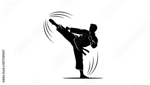 Silhouette of a person performing a dynamic martial arts kick in mid-air, conveying power and agility