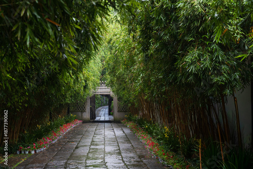 Couple Walking Through Bamboo Garden Path on a Rainy Day