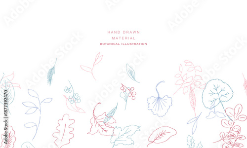 線画。線画タッチの植物イラスト。夏と春に使える植物ベクターフレーム。
Line art. Botanical illustration with a line drawing touch. Botanical vector frame that can be used in summer and spring.