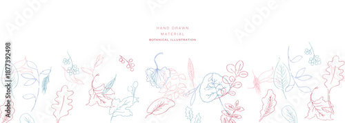 線画。線画タッチの植物イラスト。夏と春に使える植物ベクターフレーム。
Line art. Botanical illustration with a line drawing touch. Botanical vector frame that can be used in summer and spring.