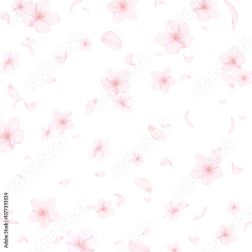 手描きの桜の水彩風背景_背景透過_正方形