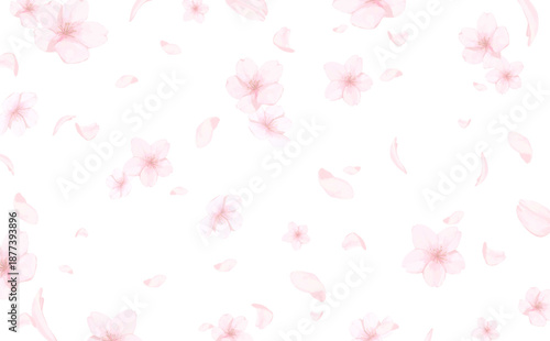 手描きの桜の水彩風背景_背景透過_横