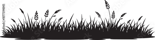 Prairie Grass Silhouette Edge, Wild Nature Grass Shape Isolated on White