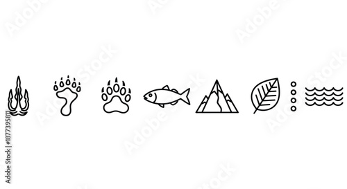 Nature's elements and symbols