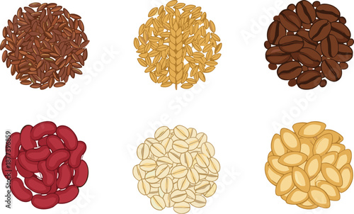Assorted grains beans seeds and coffee illustration set, healthy organic food ingredients collection, vector nutrition art, isolated white background