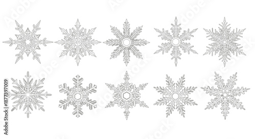 Intricate snowflake patterns in monochrome Vector