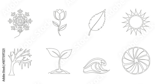 Nature's elements in minimalist design Vector