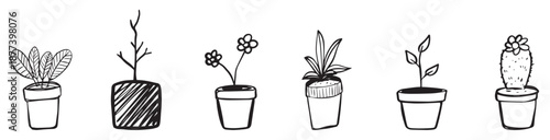 Plant hand drawn collected illustration. Set of Houseplants outline drawings. Indoor exotic flowers in pots line art. Monsters, aloe plant for home interior plans, vector illustration.