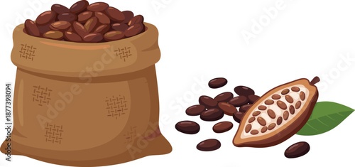 Cocoa beans in burlap sack with cacao pod illustration, chocolate ingredient concept, vector food art, isolated white background design