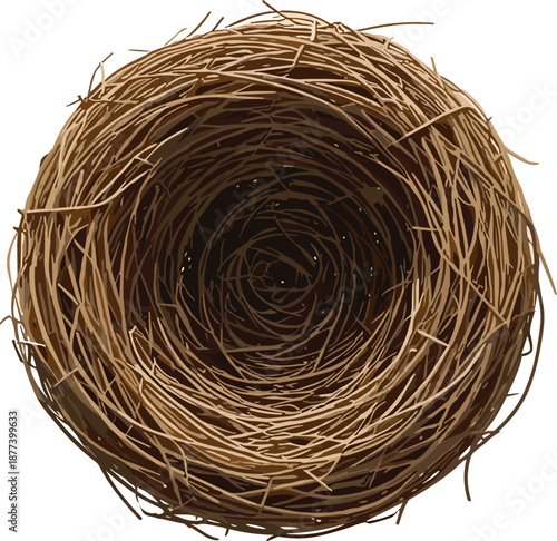 empty bird nest illustration, realistic straw nest top view, wildlife nature object, rustic forest animal home concept design art