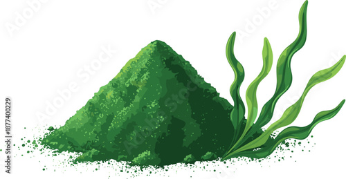 Green matcha tea powder with leaves illustration, organic superfood ingredient, healthy drink concept, vector food art, isolated white background