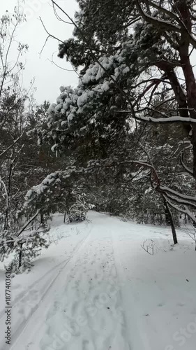 First person view driving through snowy pine forest winter road