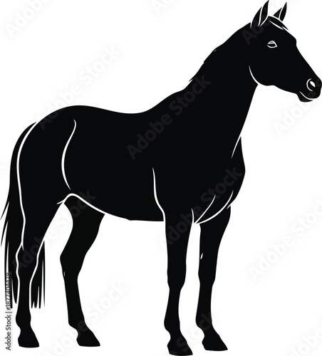 Black silhouette of a standing horse with white outline details