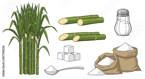 Sugar production illustrations show sugarcane stalks, sugar cubes, granulated sugar in sacks, and a silver sugar shaker.