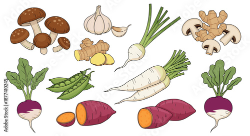 Assorted vegetable sketches feature mushrooms, garlic, ginger, radishes, peas, and sweet potatoes in a hand drawn style.