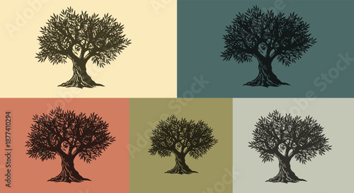 Graphic olive tree illustration is presented in five different artistic color schemes against solid background blocks.