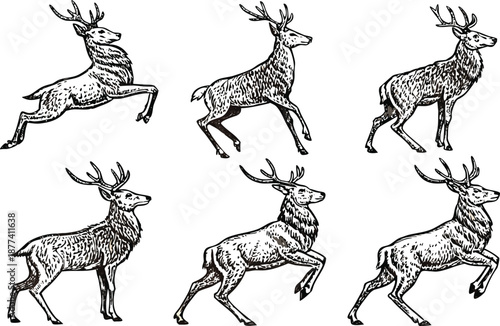 Set of vector silhouettes featuring wild deer and equestrian animals like a horse with a cowboy rider in a black western rodeo sport illustration