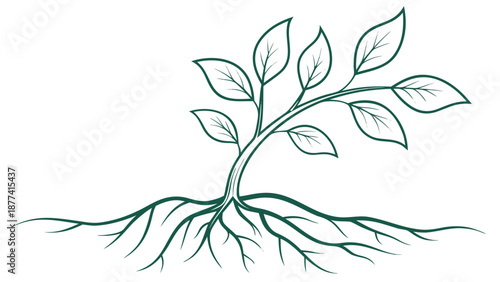 Green plant sprout with roots growing in soil