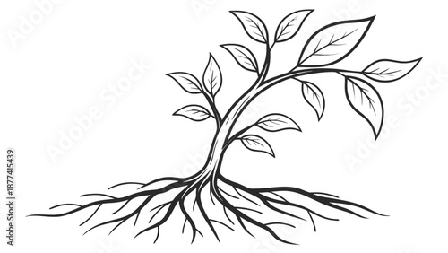 Sprouting plant with roots and leaves growing strongly