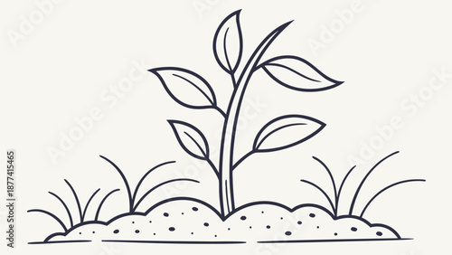 Sprouting plant growing in fertile soil with leaves