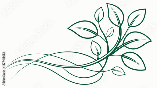 Elegant green leafy branch illustration with flowing lines