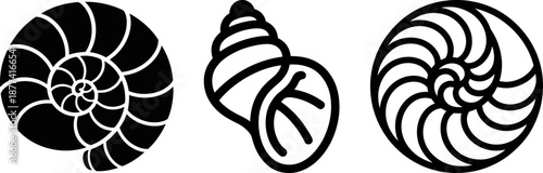 Three Black and White Nautilus Shell Illustrations