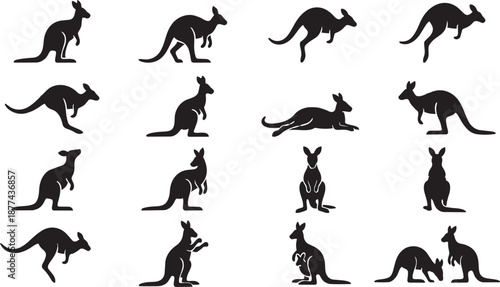 A diverse collection of Australian kangaroo silhouettes in various dynamic poses, including standing, jumping, and resting, ideal for wildlife and nature-themed designs